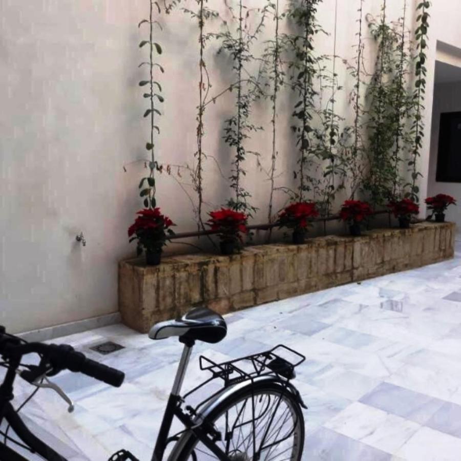 Estudio En Pleno Centro De Sevilla By Msholidays Exterior photo